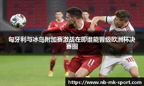 匈牙利与冰岛附加赛激战在即谁能晋级欧洲杯决赛圈